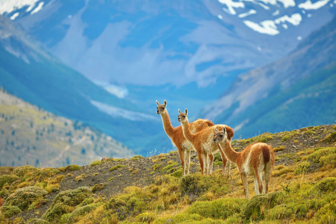 Torres del Paine national park, Patagonia, Chile via Shutterstock*