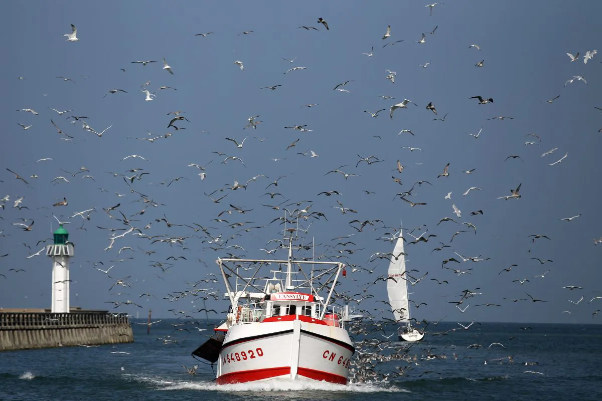Better use of the tech we have could substantially improve search and rescue efforts.(Triballeau/AFP/Getty Images)