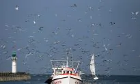 Hundreds of Ships Go Missing Each Year, but We Have the Technology to Find Them
