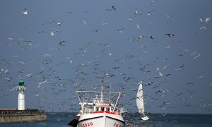 Hundreds of Ships Go Missing Each Year, but We Have the Technology to Find Them