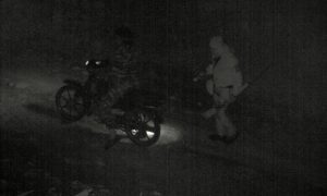 Authorities Failing to Enforce Anti-Poaching Laws in Malaysia