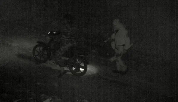 Authorities Failing to Enforce Anti-Poaching Laws in Malaysia