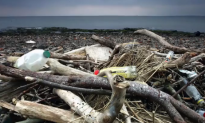 The Oceans’ Plastic Problem Gets 8M Tons Worse Every Year (Video)