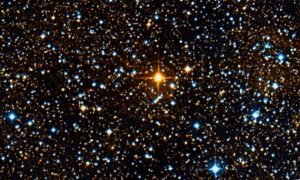 How Big Is the Biggest Star We Have Ever Found?
