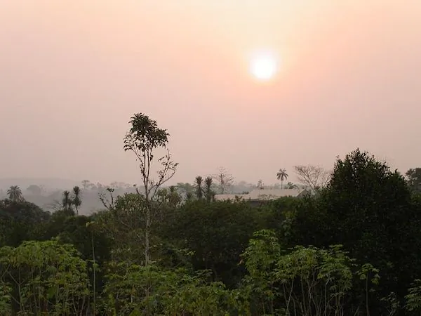 Forest in Mamfe, Cameroon. Corruption, monitoring difficulties, and lack of political will are contributing to high levels of illegal logging in the country. Photo by Hans Kylberg.
