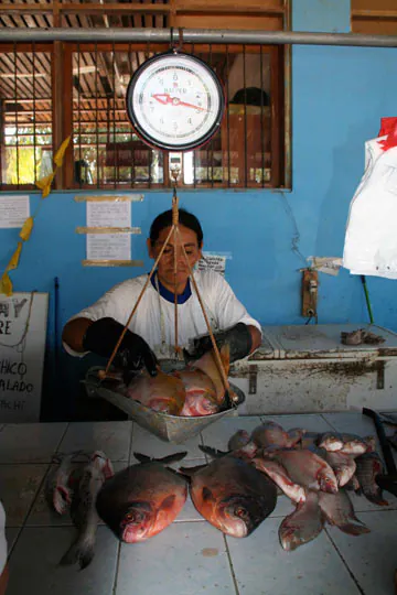 A woman sells fish in a market in Puerto Maldonado, in Peru's southeastern Madre de Dios region. Protected areas iin Amazonia encompass flooded forests that are crucial for fish reproduction. Photo credit: Barbara Fraser.