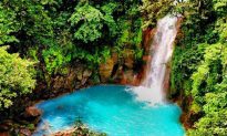 Top 5 Eco Adventures in Costa Rica