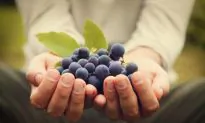 10 Cancer-Fighting Foods