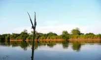 Kayaking Estonia’s Mother River on an Inflatable Boat