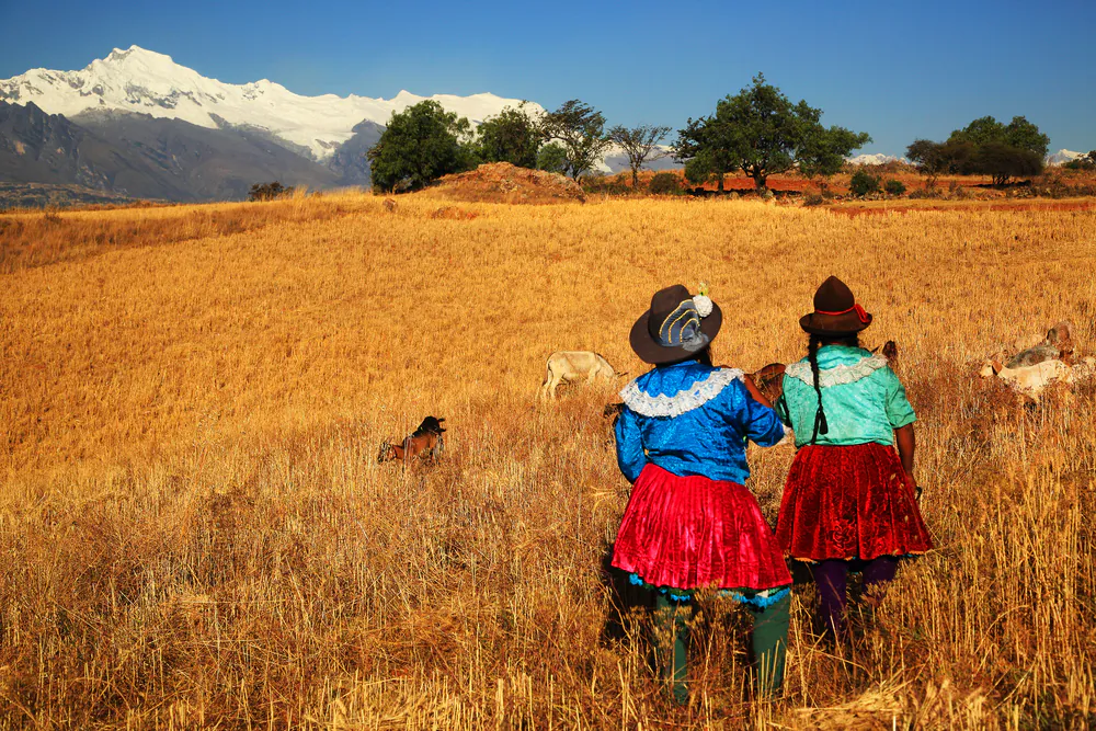 Harvesting in Cordiliera Negra, Peru via Shutterstock*