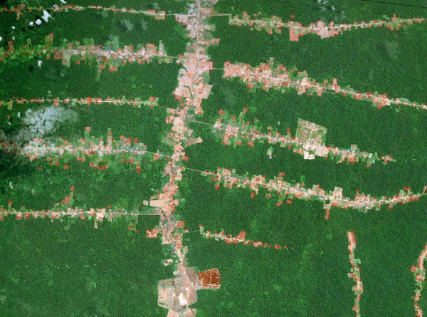 Drones to Scan the Amazon Rainforest for Hidden Civilizations