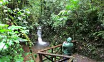 Hiking Santa Elena Reserve in a Misty Rain