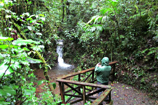 Enjoying the waterfall as if we had not seen enough falling water while hiking Santa Elena (Ted Nelson, Traveling Ted)
