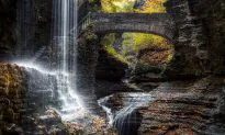 Gorges State Park in North Carolina – the Beauty in Ugly