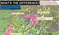 Palm Oil Deforestation Worsens Despite Pledges