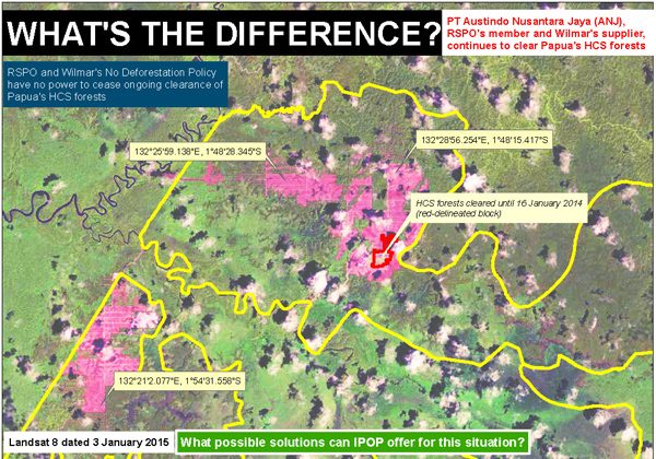 Greenomics map showing recent clearing by Austindo Nusantara Jaya Agri in West Papua, Indonesia