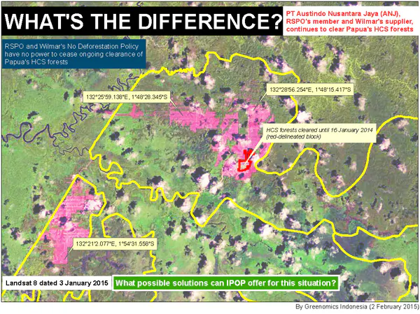 Greenomics map showing recent clearing by Austindo Nusantara Jaya Agri in West Papua, Indonesia