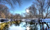 Secret to Health Benefits of Sunshine Is More Than Vitamin D