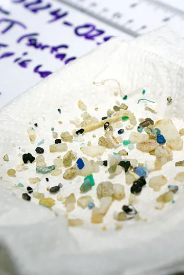 A microplastic sample collected using a plankton net tow in the North Pacific Ocean. Credit: G. Proskurowski with the Sea Education Association.