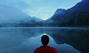 This Is Your Brain on Mindfulness Training