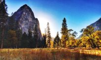 Inside Yosemite National Park