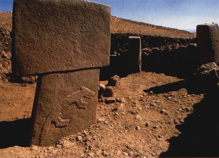 Gobekli Tepe carvings on a monolith (Wade Shepard, Vagabond Journey)