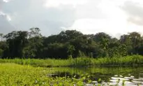 Researchers Propose Improvements for Peru’s Protected Areas