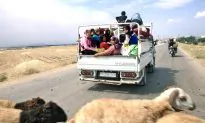 Did Drought in Syria Fuel the 2011 Uprising?
