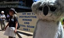 Australia: Decision on Coal Mines Plays Into NSW Elections