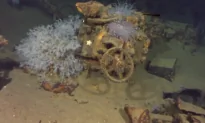 Long-Lost Ship Found? Microsoft Co-Founder Uncovers Wreckage (Video)