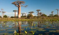 5 Awesome Destinations for 2015