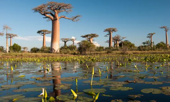 5 Awesome Destinations for 2015