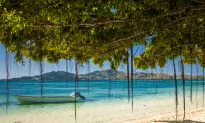 Texas Couple Who Died in Fiji Emailed Relatives: ‘Throwing up for 8 Hours’