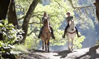 3 Stunning Horse Riding Locations