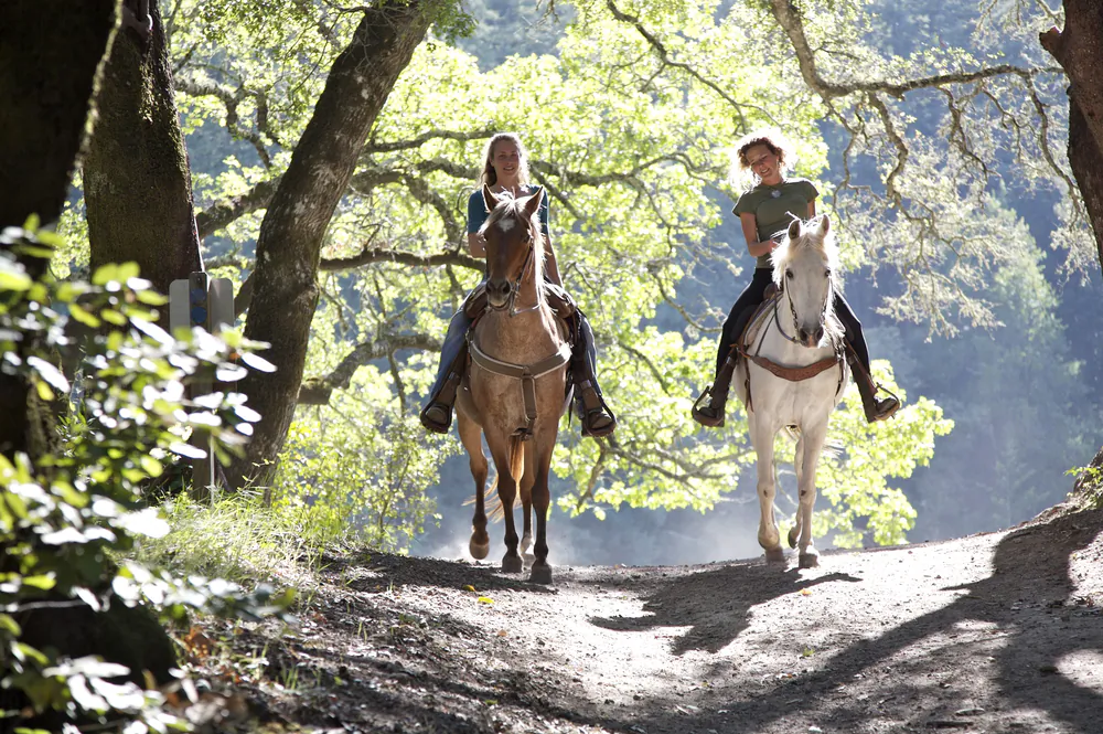 Horseback riders via Shutterstock*