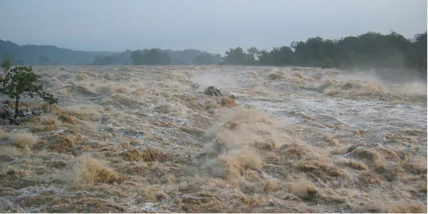 Humans Cause Erosion 100x’s Faster Than Normal