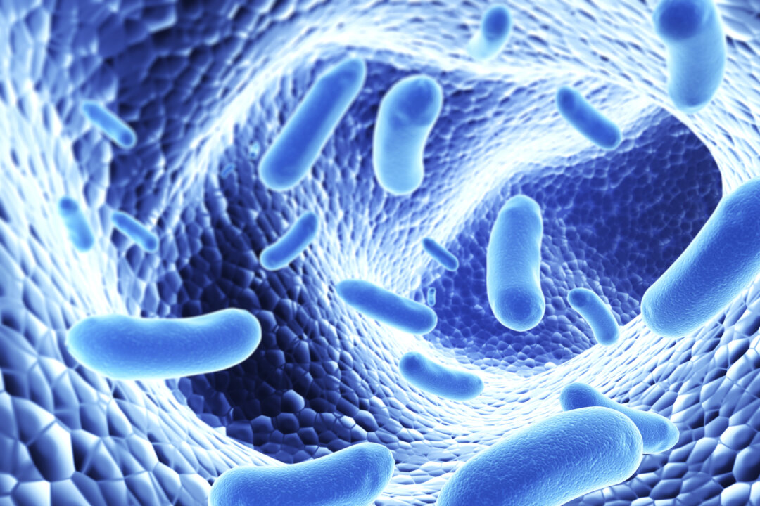 Probiotics Improve Long COVID