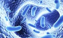 Liver Disease Linked to Gut Bacteria and Leaky Gut