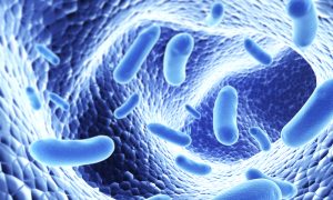 Probiotics Improve Long COVID