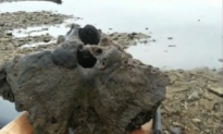 Fisherman Thinks he Hooked Woolly Mammoth Skull (Video)