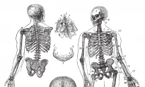 5 Herbs for Bone Health