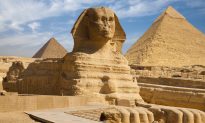 Fossil Suggests Egyptian Pyramids and Sphinx Once Submerged Under Sea Water