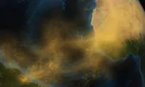 How the Sahara Keeps the Amazon Rainforest Going