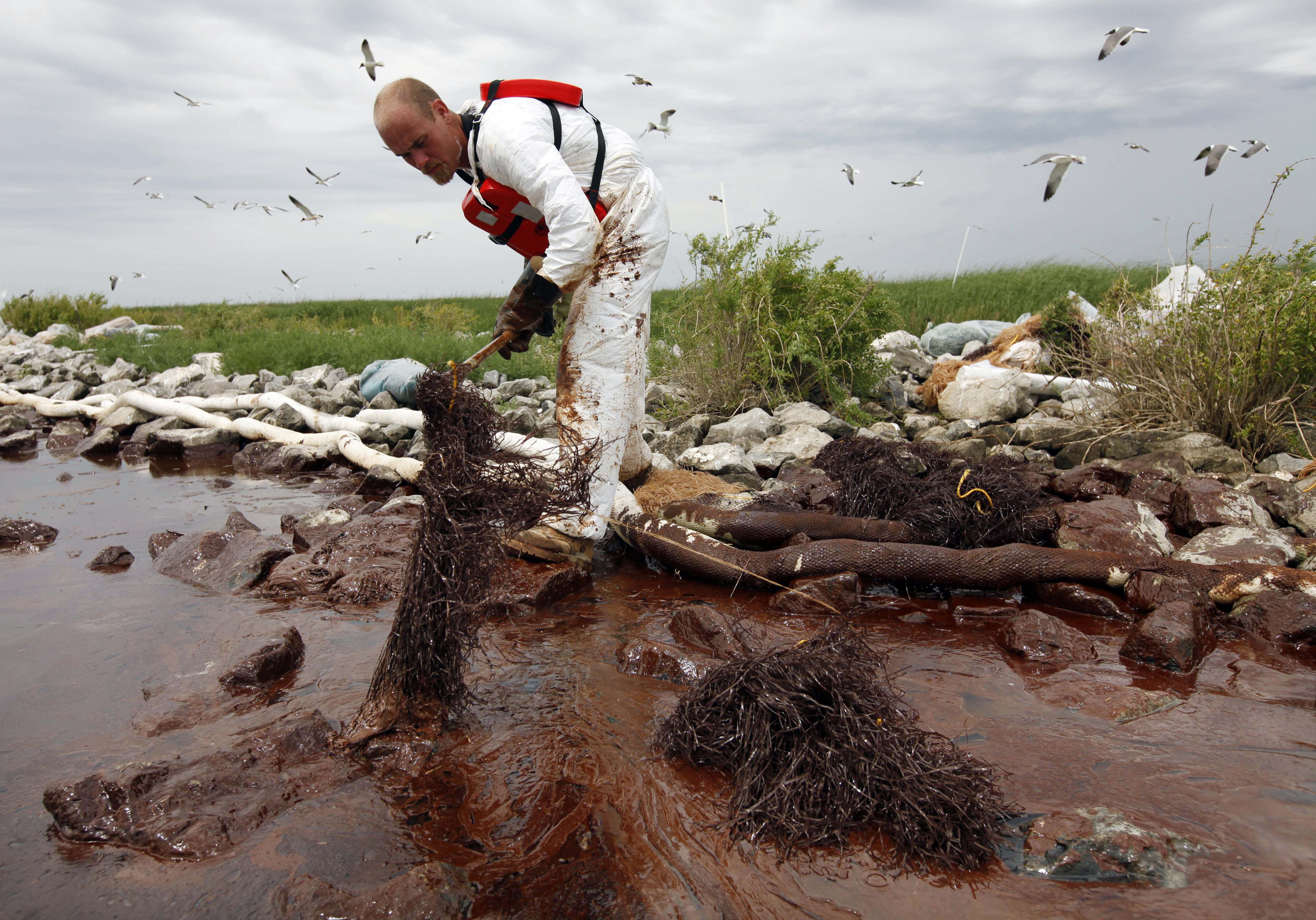 Разрыв природы. Разлив нефти в мексиканском заливе 2010. Экологическая катастрофа в мексиканском заливе 2010. Экологическая катастрофа разлив нефти. Экологическая катастрофа в мексиканском заливе.