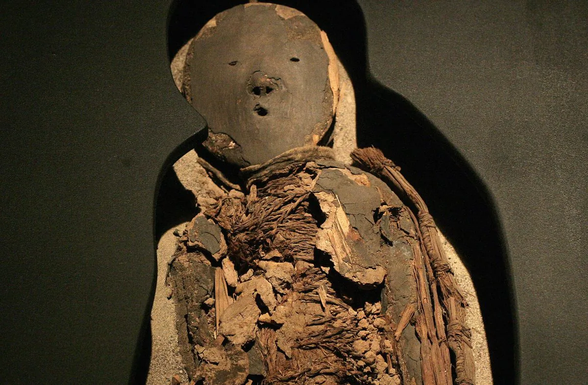 A Chinchorro mummy of a child - dated between 5000 B.C. and 3000 B.C. on display at San Miguel de Azapa Museum in Arica, Chile. During the past decade, many of the Chinchorro mummies have begun to rapidly degrade. (Claudio Santana/AFP/Getty Images)