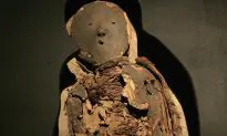 Case of the Rotting Mummies