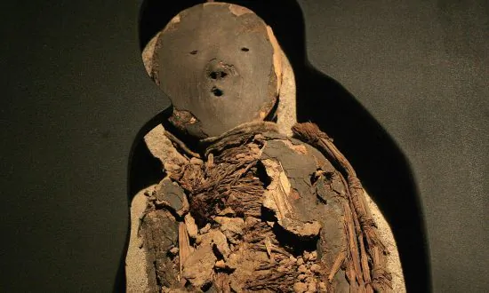 Case of the Rotting Mummies