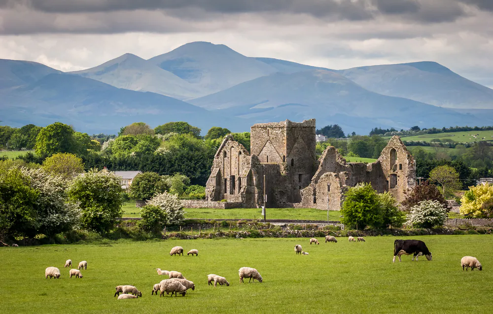Idyllic Irish Landscape via Shutterstock*