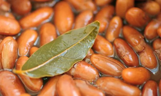 The Noble Bay Leaf