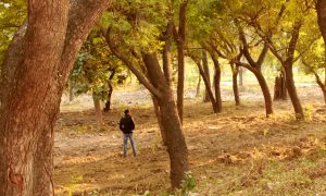 India Tries Public Shaming to Tackle Its Culture of Public Urination